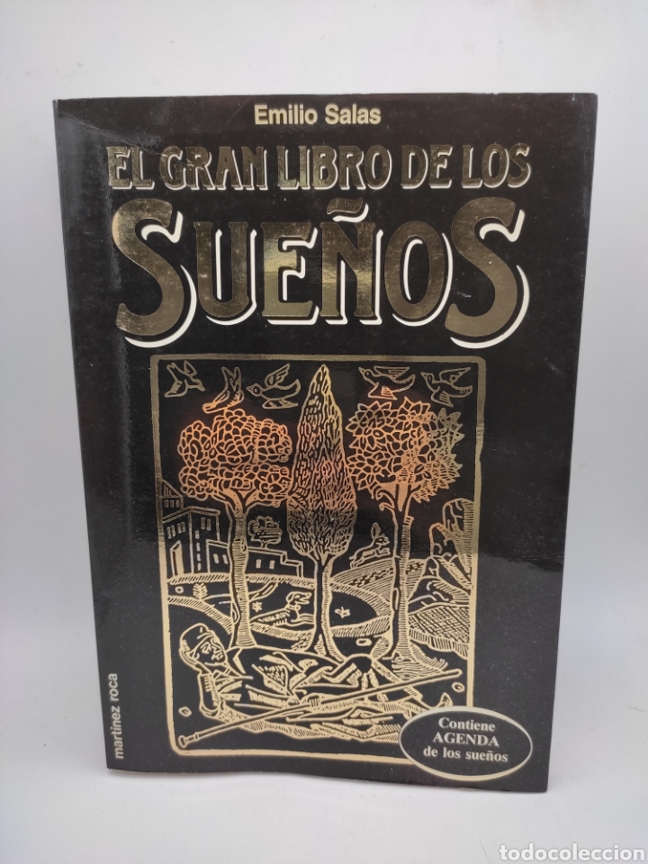 El Gran Libro De Los Sueños Por Emilio Salas Ed Comprar En