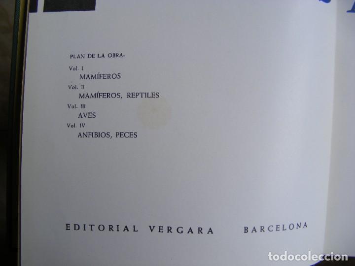 Libros de segunda mano: LIBRO G.SCORTECCI LOS ANIMALES TOMO I - Foto 2