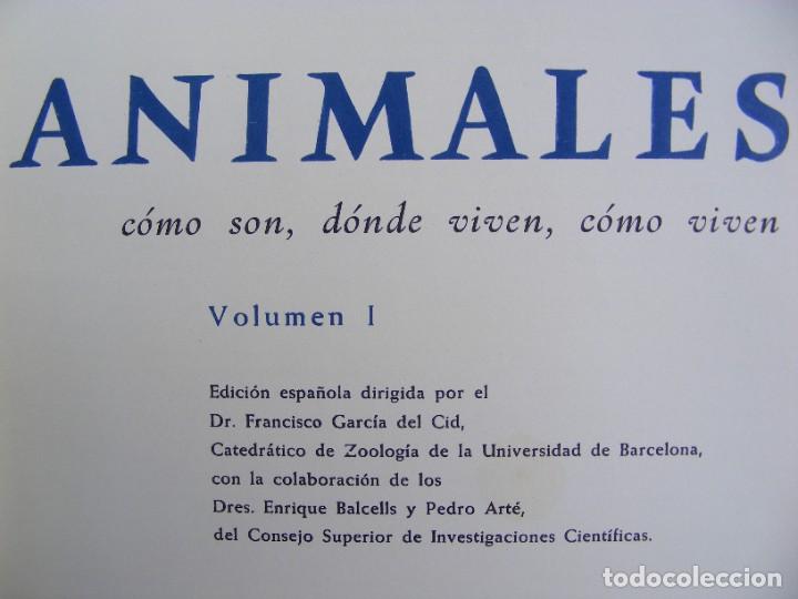 Libros de segunda mano: LIBRO G.SCORTECCI LOS ANIMALES TOMO I - Foto 3