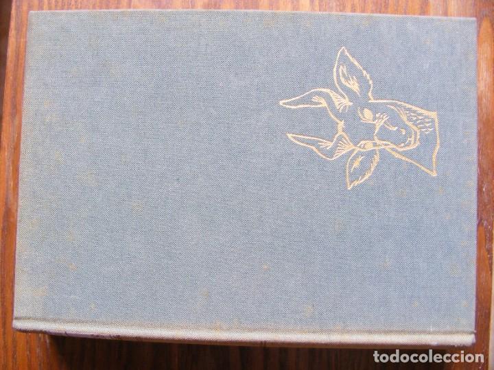 Libros de segunda mano: LIBRO G.SCORTECCI LOS ANIMALES TOMO I - Foto 6