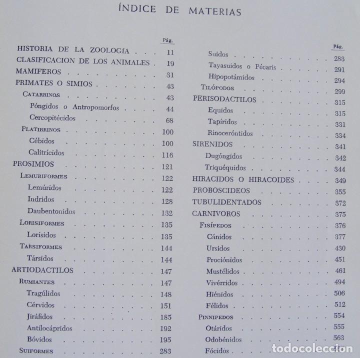 Libros de segunda mano: LIBRO G.SCORTECCI LOS ANIMALES TOMO I - Foto 7