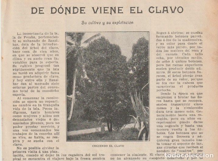 Livres d'occasion: De d&oacute;nde viene el clavo: su cultivo y explotaci&oacute;n - 1909