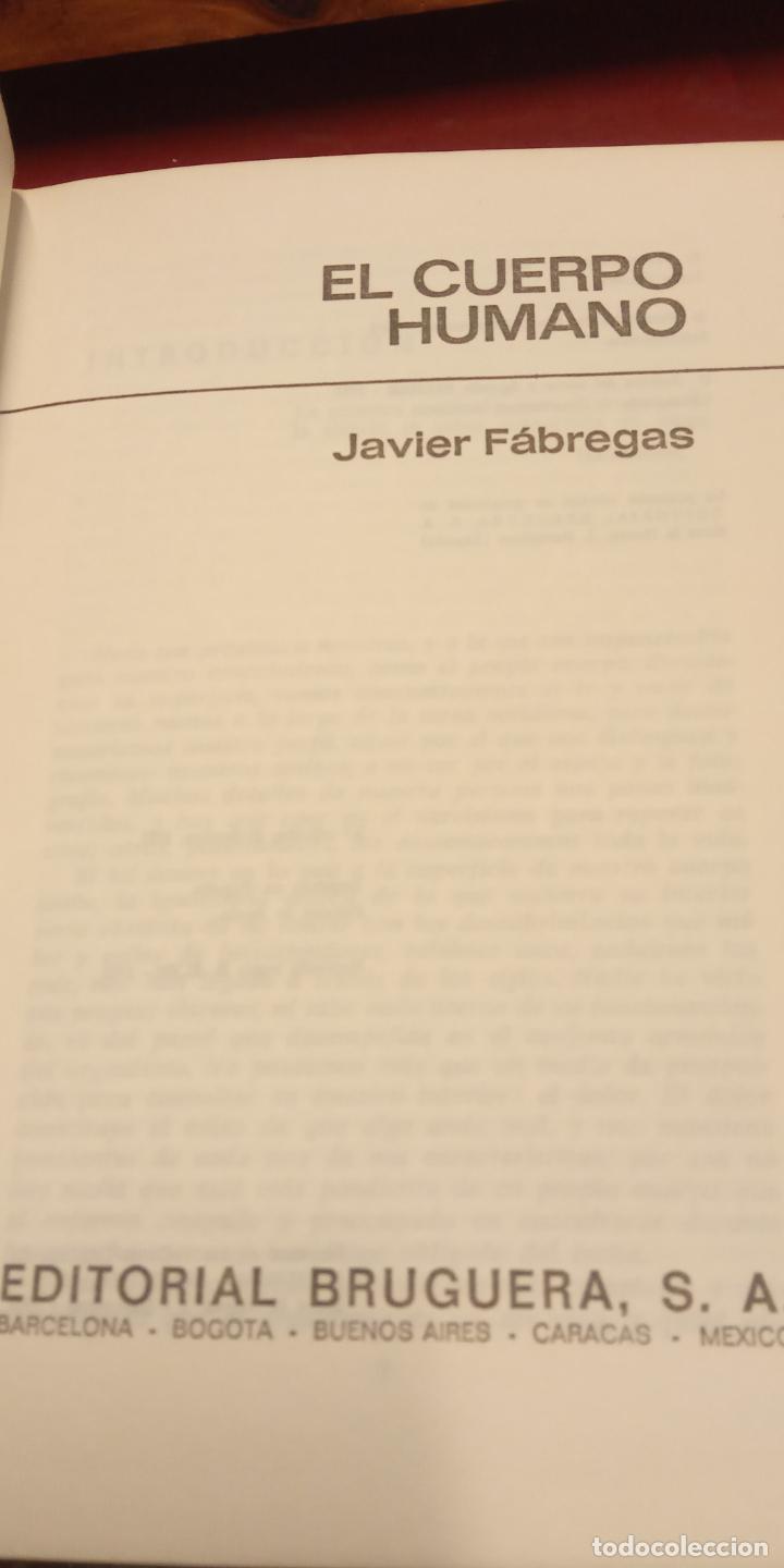 Libros de segunda mano: EL CUERPO HUMANO. JAVIER F&Aacute;BREGAS. EDITORIAL BRUGUERA - Foto 1