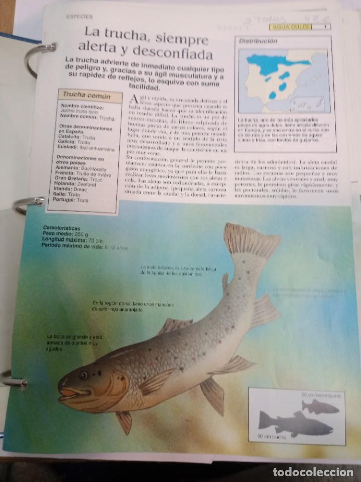 Libros de segunda mano: Guia pr&aacute;ctica de la pesca 2 tomos SA8677 - Foto 2