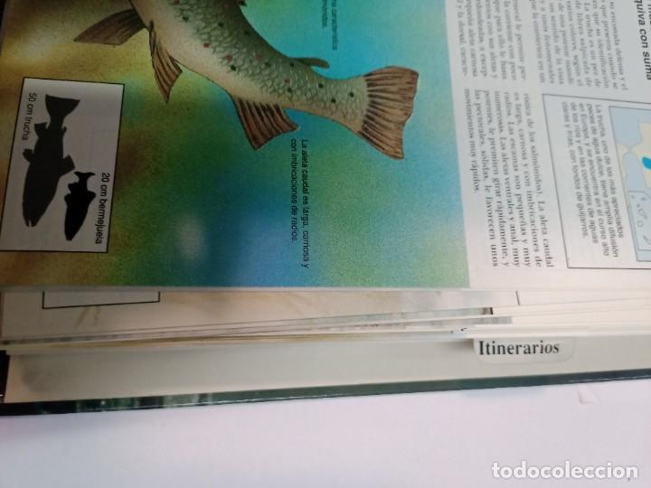 Libros de segunda mano: Guia pr&aacute;ctica de la pesca 2 tomos SA8677 - Foto 3