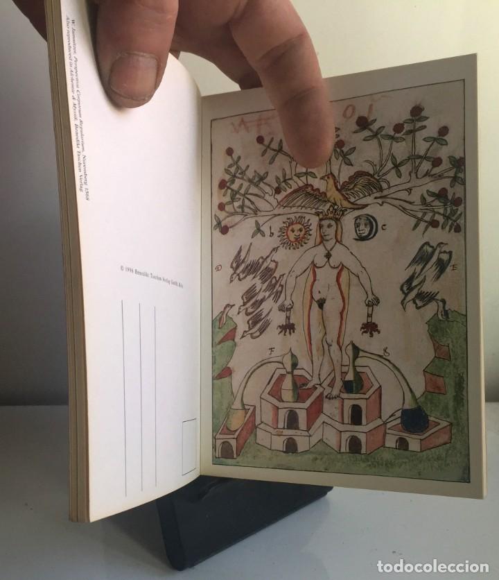 Libros de segunda mano: ALCHEMY & MYSTICISM. 30 postcards - Foto 7