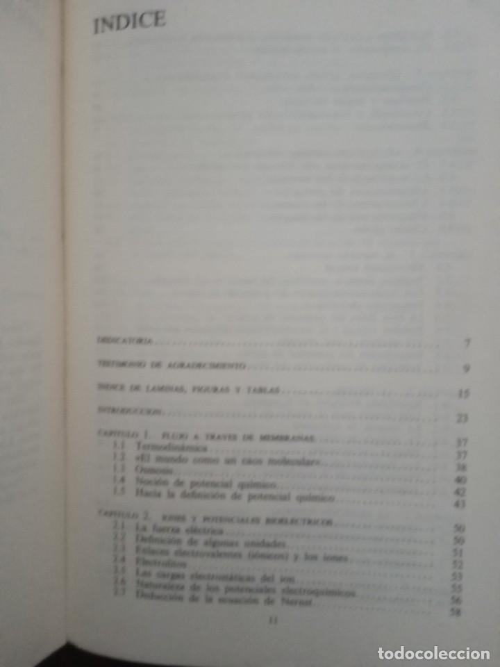Libros de segunda mano: EL CEREBRO. C.U.M. SMITH. ALIANZA UNIVERSIDAD. - Foto 2
