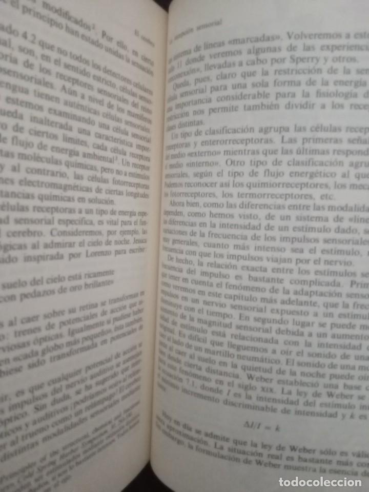 Libros de segunda mano: EL CEREBRO. C.U.M. SMITH. ALIANZA UNIVERSIDAD. - Foto 3