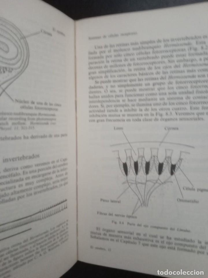 Libros de segunda mano: EL CEREBRO. C.U.M. SMITH. ALIANZA UNIVERSIDAD. - Foto 4