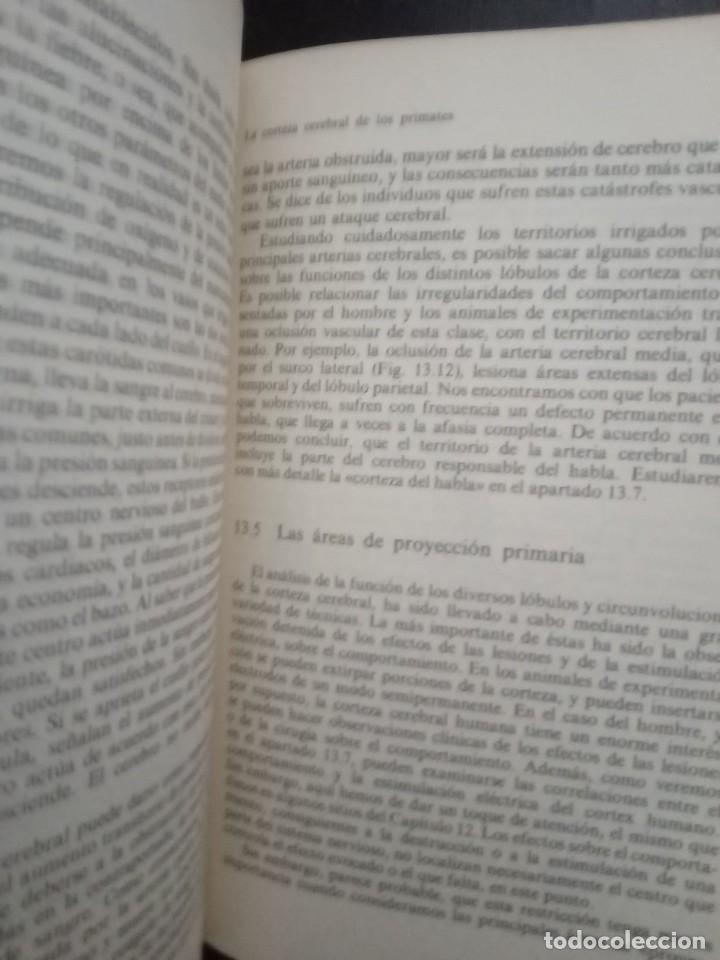Libros de segunda mano: EL CEREBRO. C.U.M. SMITH. ALIANZA UNIVERSIDAD. - Foto 5