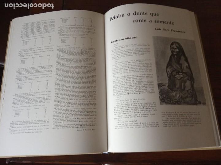 Libros de segunda mano: VIEIROS .-EDICIONS A NOSA TERRA. - Foto 6