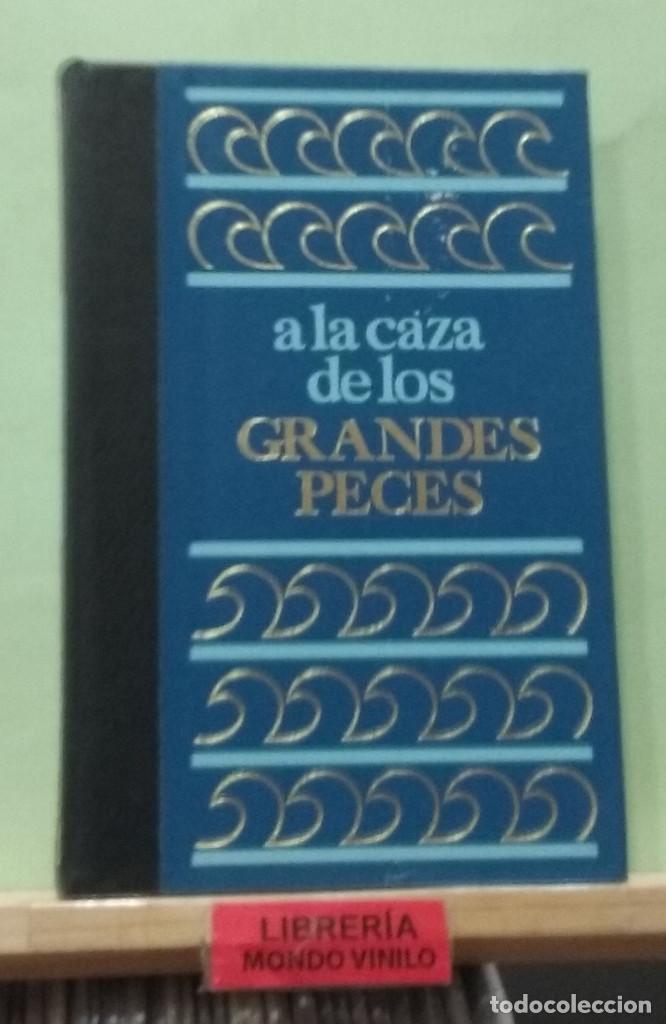 Libros de segunda mano: A la caza de los grandes peces. Marcel Isy-Schwart - Foto 1