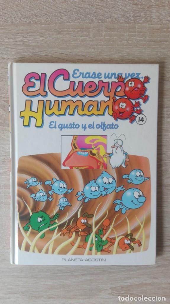 Gebrauchte B&uuml;cher: LIBRO ERASE UNA VEZ .. EL CUERPO HUMANO-EL GUSTO Y EL OLFATO N&ordm; 14 -PLANETA AGOSTINI-A&Ntilde;O 1995.