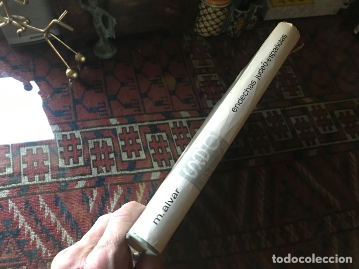 Libros de segunda mano: Endechas judeo-espa&ntilde;olas. Edici&oacute;n refundida. Manuel Alvar. C.S.I.C. - Foto 2