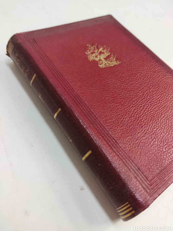 l-5239-entre-flames-joaquim-ruyra-editorial-s-comprar-en