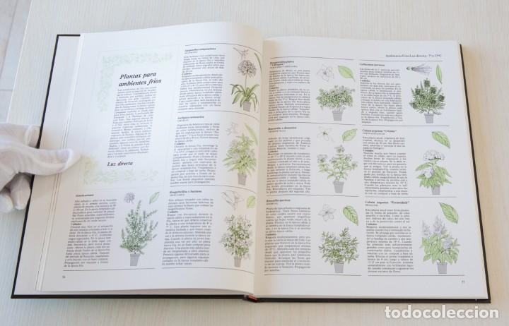 Libros de segunda mano: El Gran Libro de la Jardineria. 2 Tomos - Foto 4
