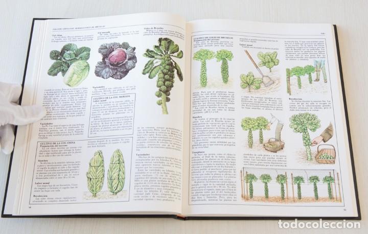 Libros de segunda mano: El Gran Libro de la Jardineria. 2 Tomos - Foto 9