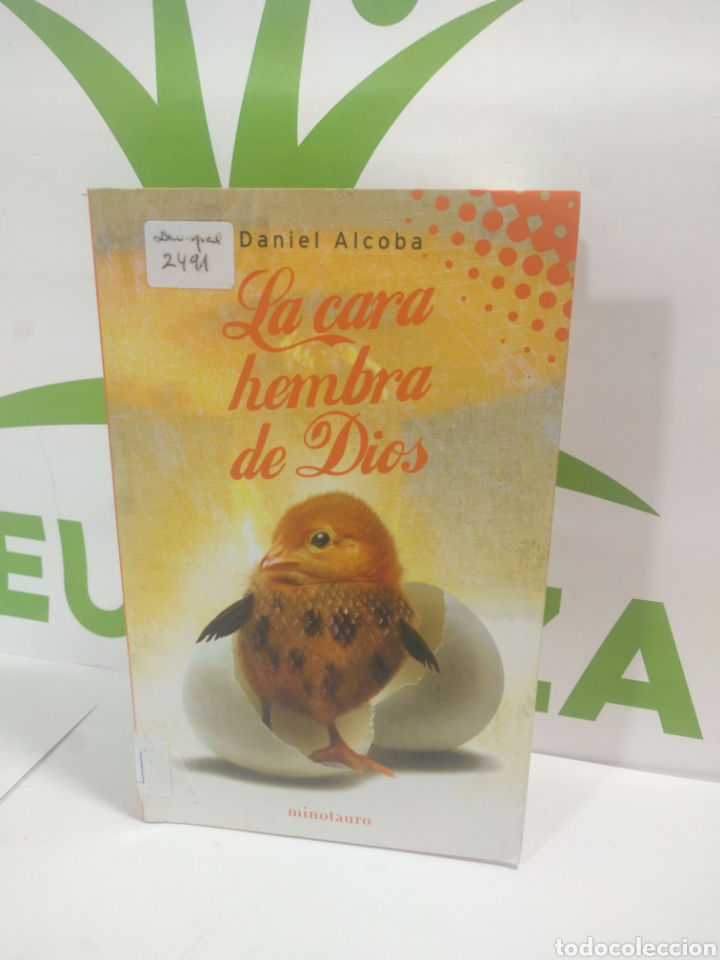 Libros de segunda mano: La cara hembra de Dios. Minotauro. Daniel Alcoba. - Foto 1