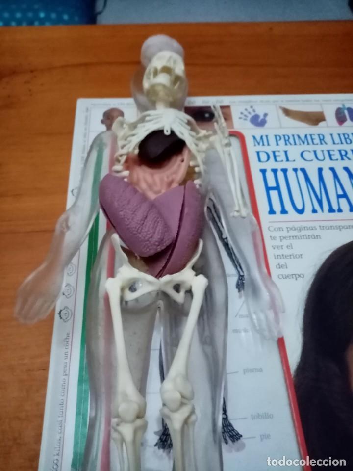 Libros de segunda mano: Mi primer libro de cuerpo humano. Con el ESQUELETO - Foto 1
