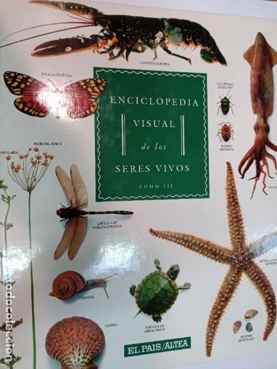 Libros de segunda mano: Enciclopedia visual de los seres vivos 3 tomos SA8827 - Foto 2