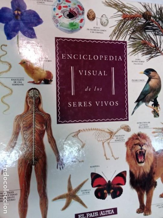 Libros de segunda mano: Enciclopedia visual de los seres vivos 3 tomos SA8827 - Foto 3