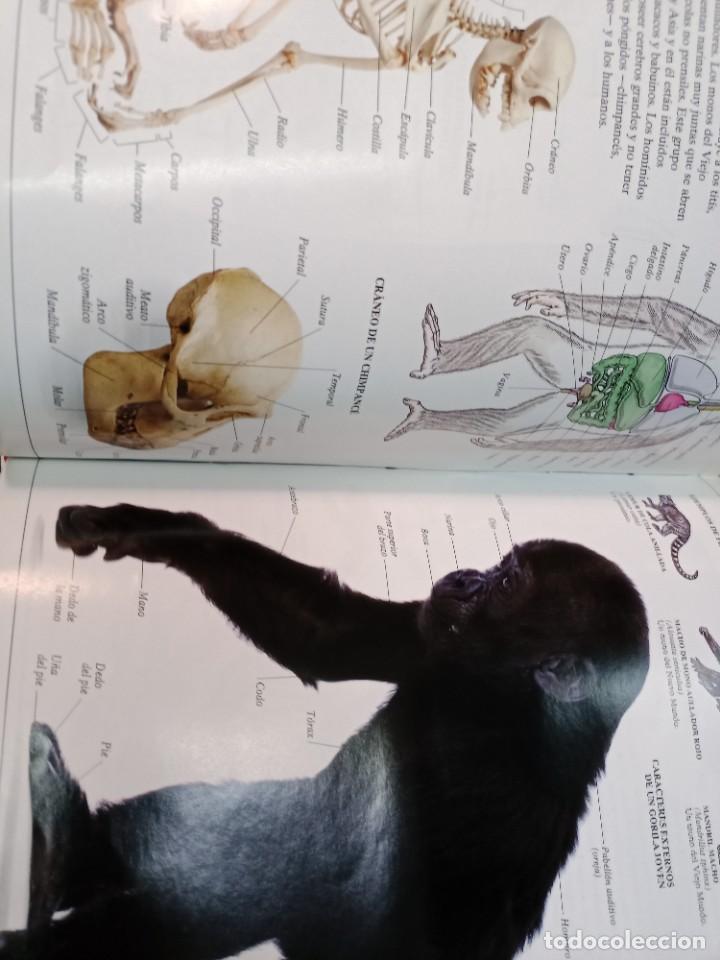 Libros de segunda mano: Enciclopedia visual de los seres vivos 3 tomos SA8827 - Foto 4