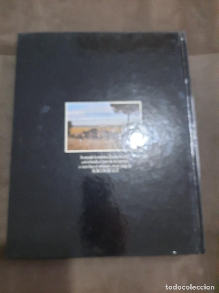 Libros de segunda mano: E3B1 ROCIO SURCOS DE LUZ RAMON LEON - Foto 2