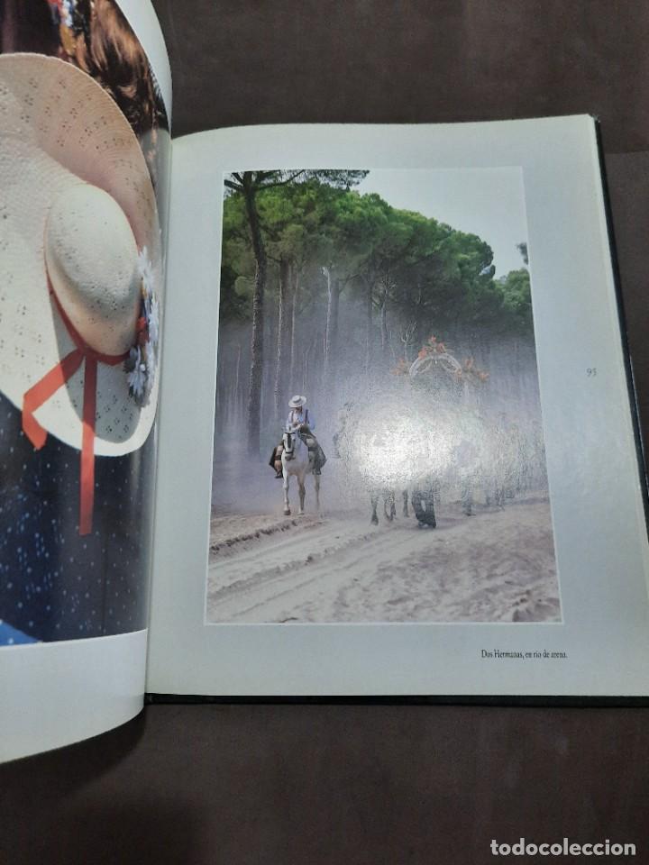 Libros de segunda mano: E3B1 ROCIO SURCOS DE LUZ RAMON LEON - Foto 4