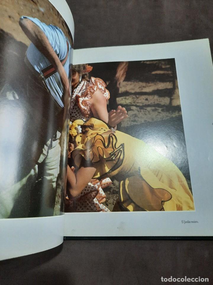 Libros de segunda mano: E3B1 ROCIO SURCOS DE LUZ RAMON LEON - Foto 5