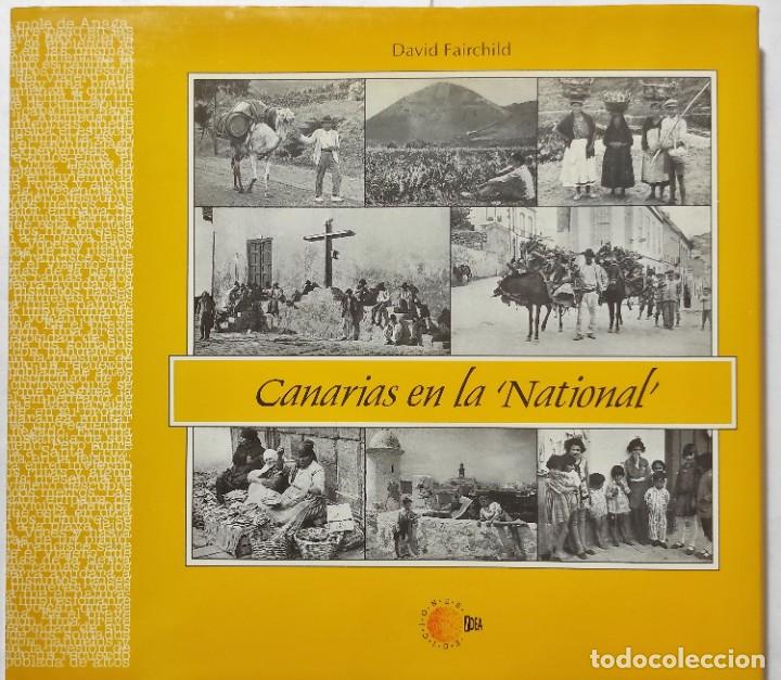 Libros de segunda mano: DAVID FAIRCHILD. CANARIAS EN LA NATIONAL. 1995. COLECCI&Oacute;N CRONOS. - Foto 1
