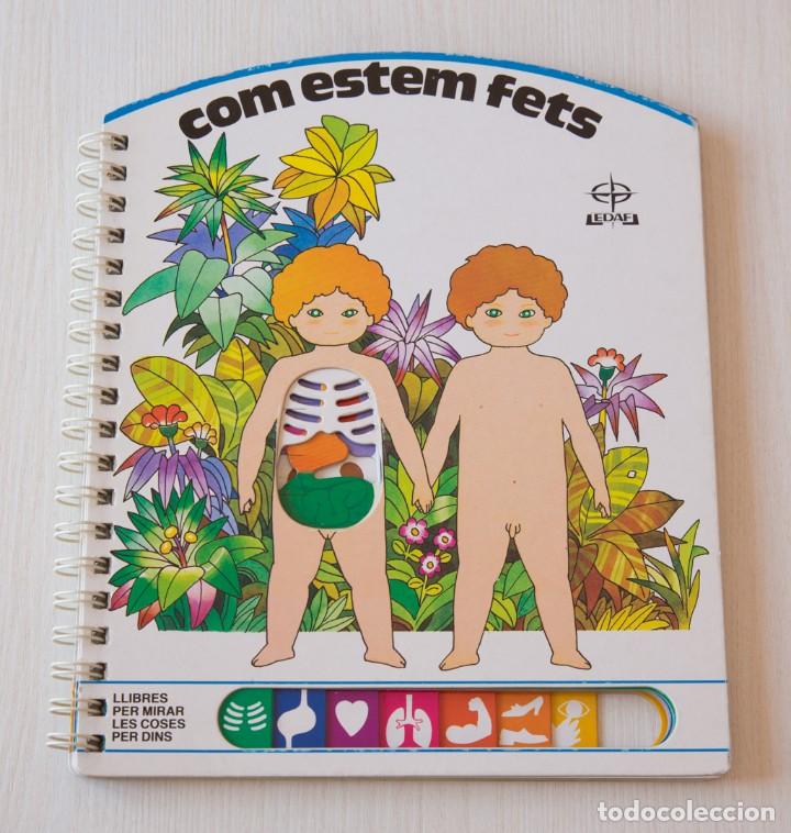 Libros de segunda mano: Com Estem Fets. Carlo A. Michelini i Mario Gomboli.