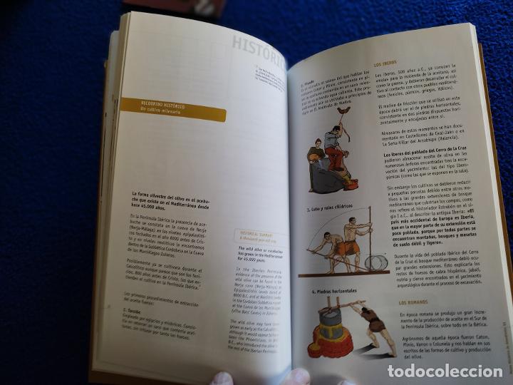 Libros de segunda mano: Museo Hist&oacute;rico de Almedinilla Ignacio Mu&ntilde;iz Ja&eacute;n A&ntilde;o 2000 - Foto 11