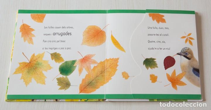 Libros de segunda mano: El Bosc. Toca toc - Foto 5