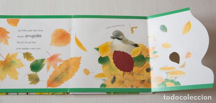 Libros de segunda mano: El Bosc. Toca toc - Foto 6