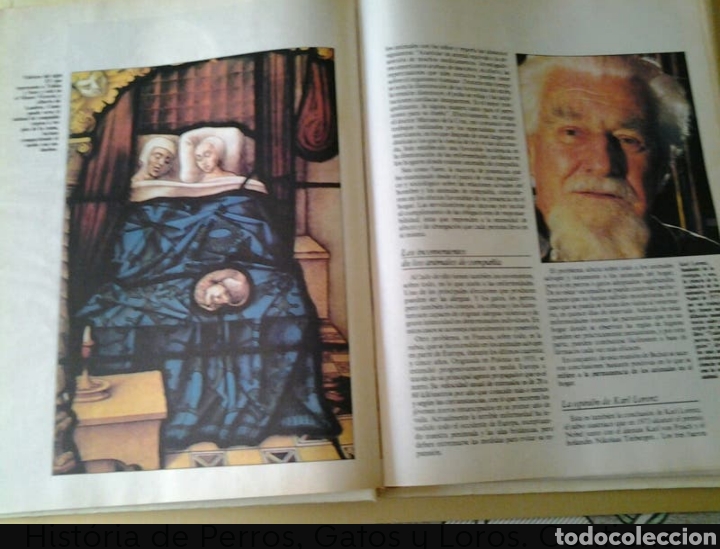 Libros de segunda mano: LOS ANIMALES de COMPA&Ntilde;IA. N&Egrave;STOR LUJ&Agrave;N. - Foto 2