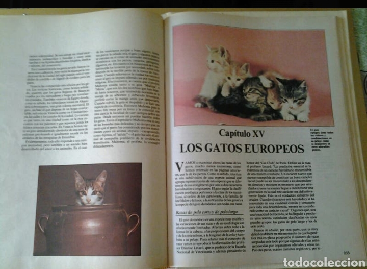 Libros de segunda mano: LOS ANIMALES de COMPA&Ntilde;IA. N&Egrave;STOR LUJ&Agrave;N. - Foto 3