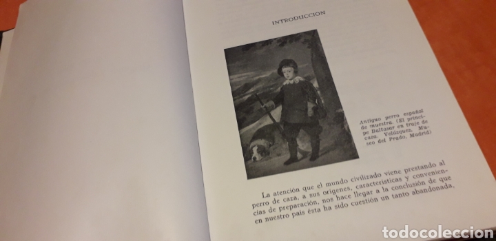 Libros de segunda mano: PERROS DE CAZA, FERNANDO HUERTA RAMIREZ, - Foto 3