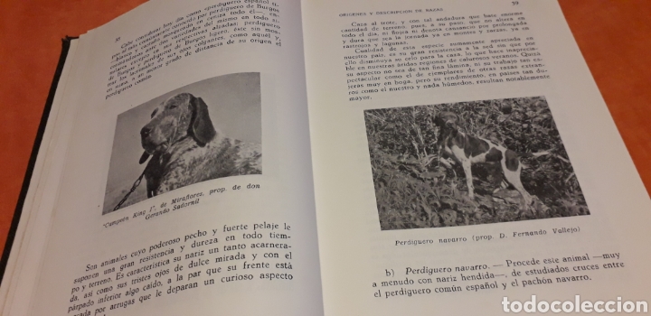 Libros de segunda mano: PERROS DE CAZA, FERNANDO HUERTA RAMIREZ, - Foto 5