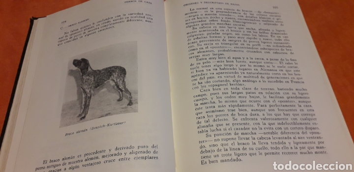 Libros de segunda mano: PERROS DE CAZA, FERNANDO HUERTA RAMIREZ, - Foto 6