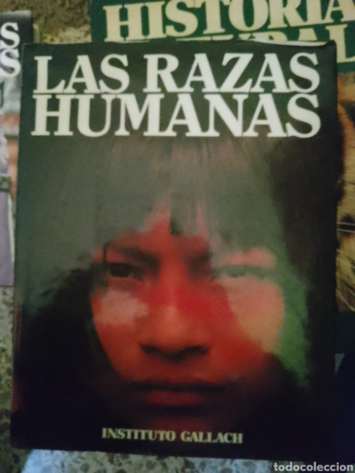Libros de segunda mano: Las razas humanas, instituto Gallach 4 TOMOS - Foto 4