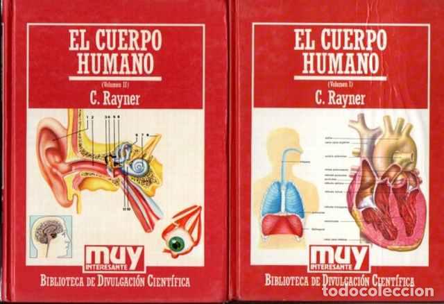 Libros de segunda mano: El Cuerpo Humano I y II - Rayner, C. - Foto 1