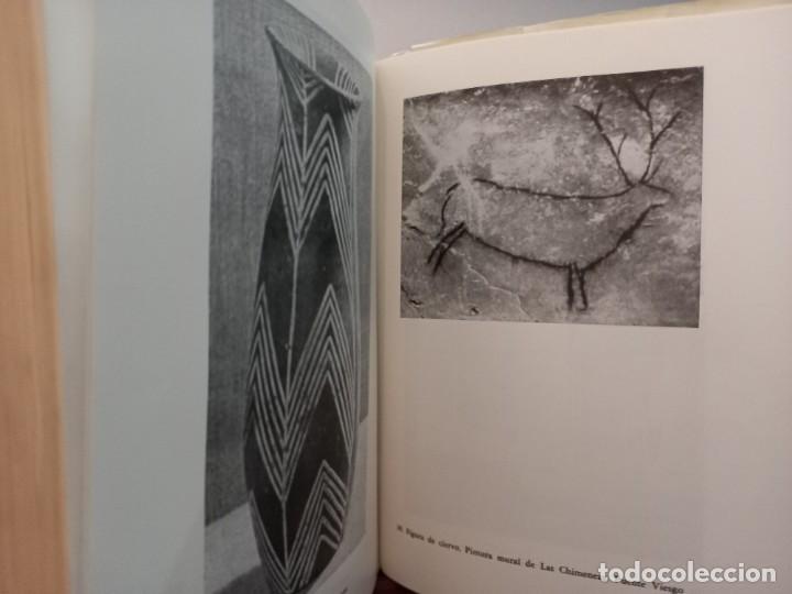 Libros de segunda mano: Herbert Read - Los or&iacute;genes de la forma en el arte / Editorial Proyecci&oacute;n 1967 - Foto 5