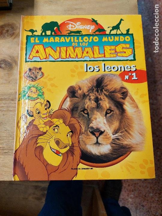 nº 1 los leones * el maravilloso mundo de los a - Compra venta en  todocoleccion