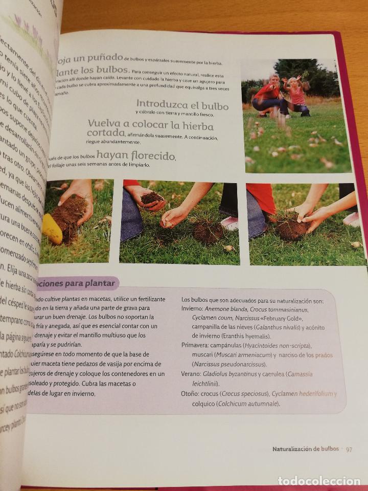 Libros de segunda mano: JARDINER&Iacute;A CON NI&Ntilde;OS (KIM WILDE) - Foto 5
