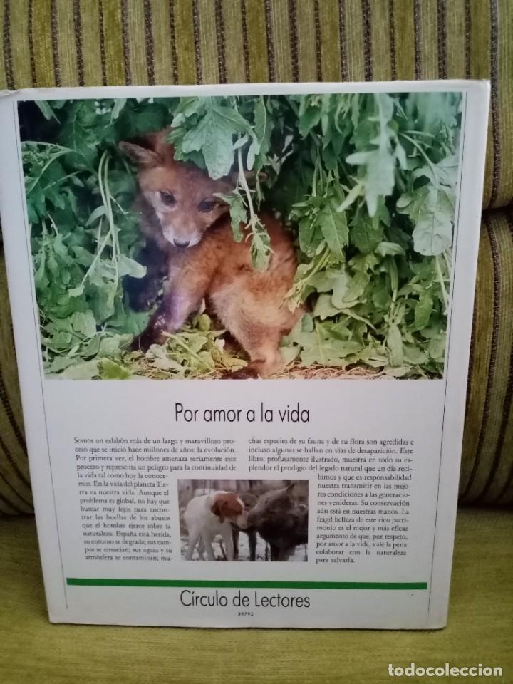 Libros de segunda mano: ESPA&Ntilde;A HERIDA - Foto 3