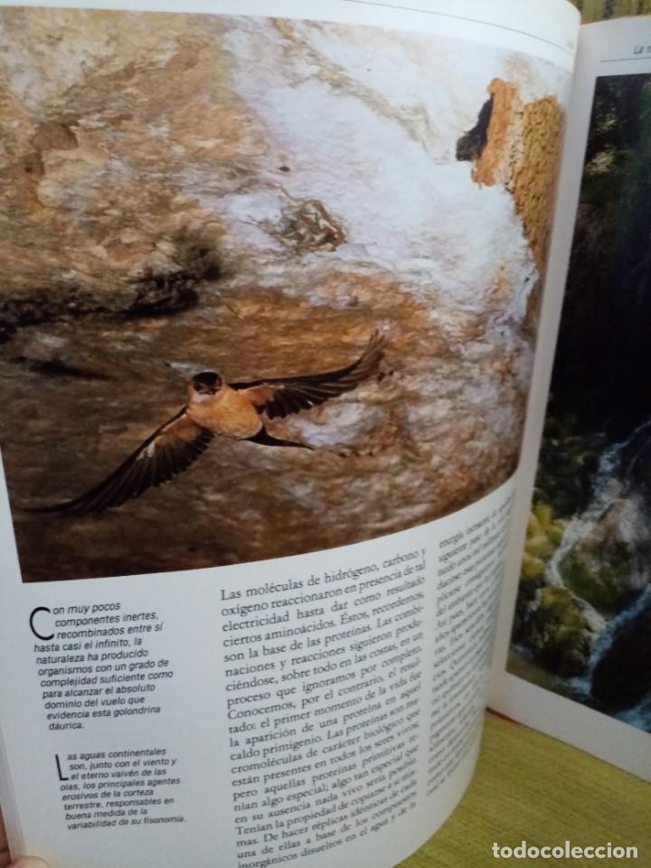 Libros de segunda mano: ESPA&Ntilde;A HERIDA - Foto 6