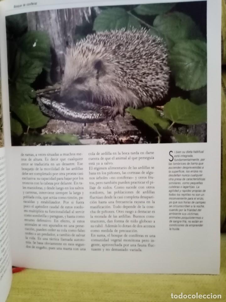 Libros de segunda mano: ESPA&Ntilde;A HERIDA - Foto 8