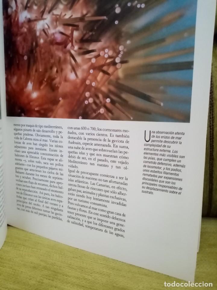 Libros de segunda mano: ESPA&Ntilde;A HERIDA - Foto 9