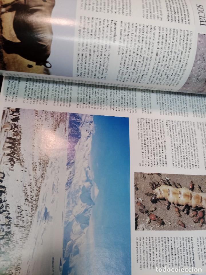 Libros de segunda mano: Enciclopedia tem&aacute;tica escolar SA9003 - Foto 3