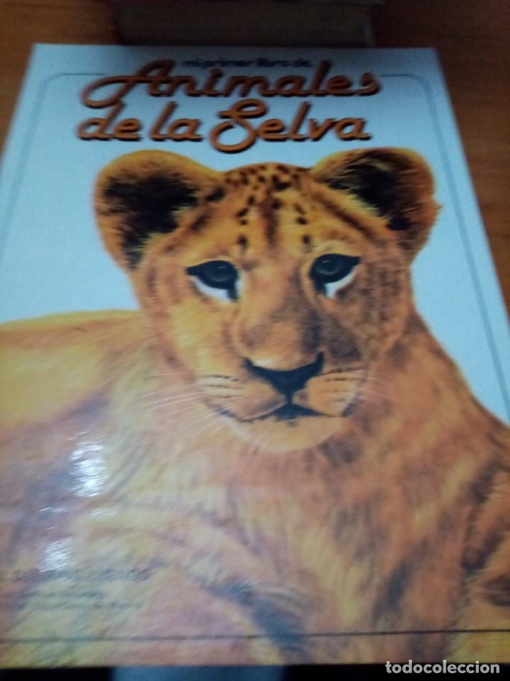 Libros de segunda mano: MI PRIMER LIBRO DE ANIMALES DE LA SELVA. EST31B1 - Foto 1